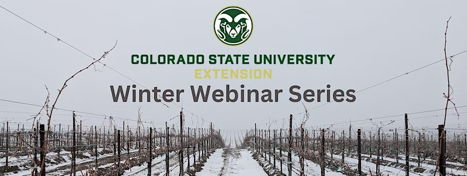 Colorado State University logo with text "Winter Webinar Series" in front of a snowy vineyard